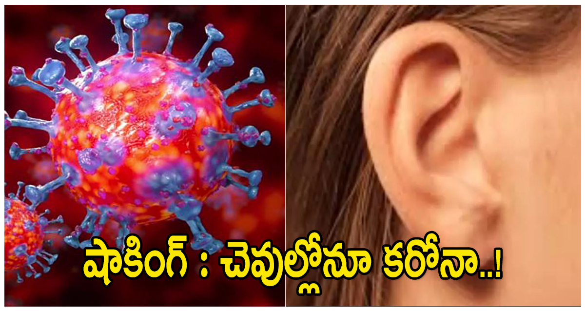 corona virus through ears