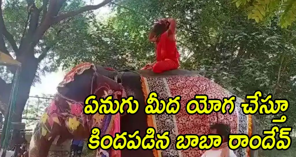 Baba Ramdev yoga on Elephant
