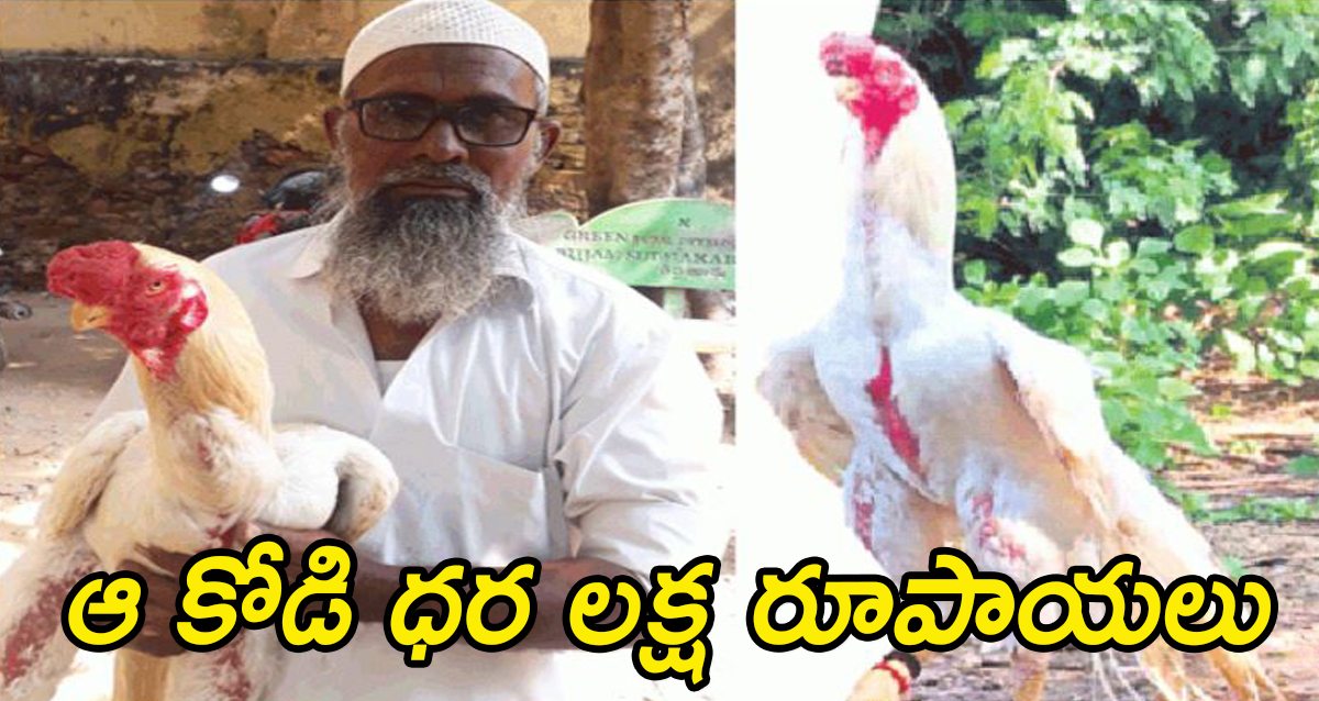 The price of chicken is one lakh