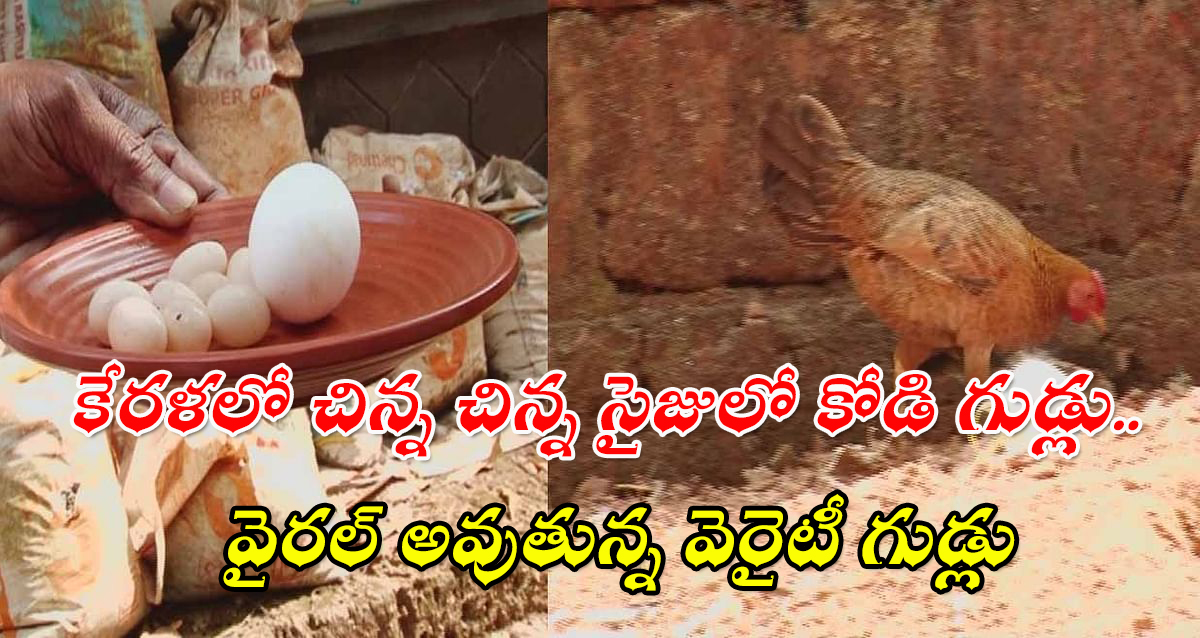 Small Eggs trending in Kerala