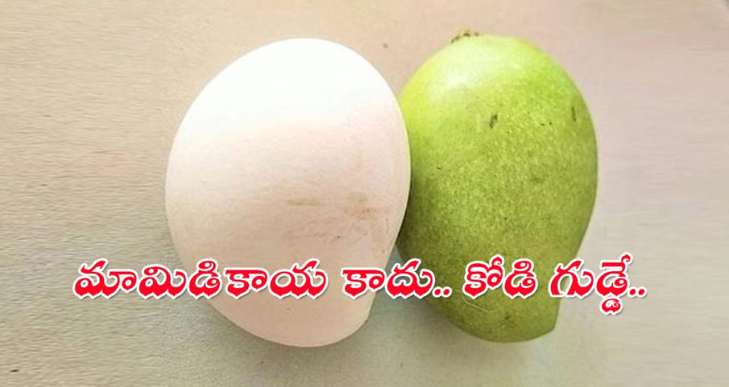 mango shape Egg
