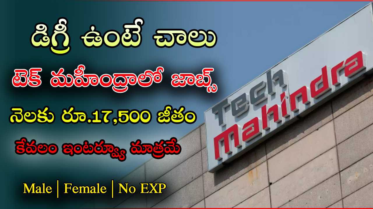 Tech Mahindra Freshers Jobs