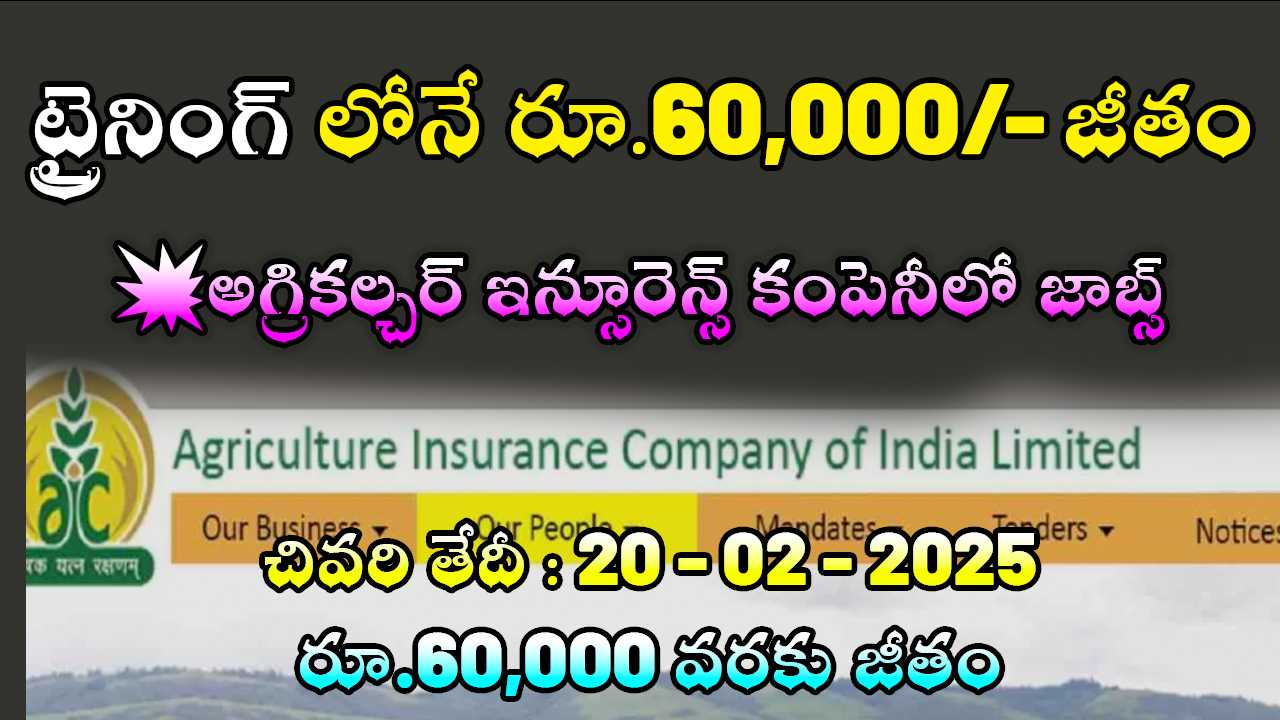 Agriculture insurance company of india limited jobs