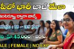 Andhra pradesh latest Job Mela 2025