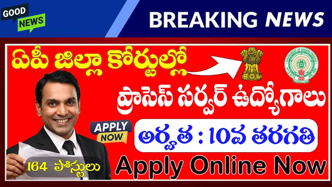 AP District Court Process Server Jobs 2025