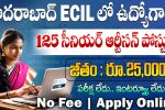 ECIL Senior Artisan  Recruitment 2025