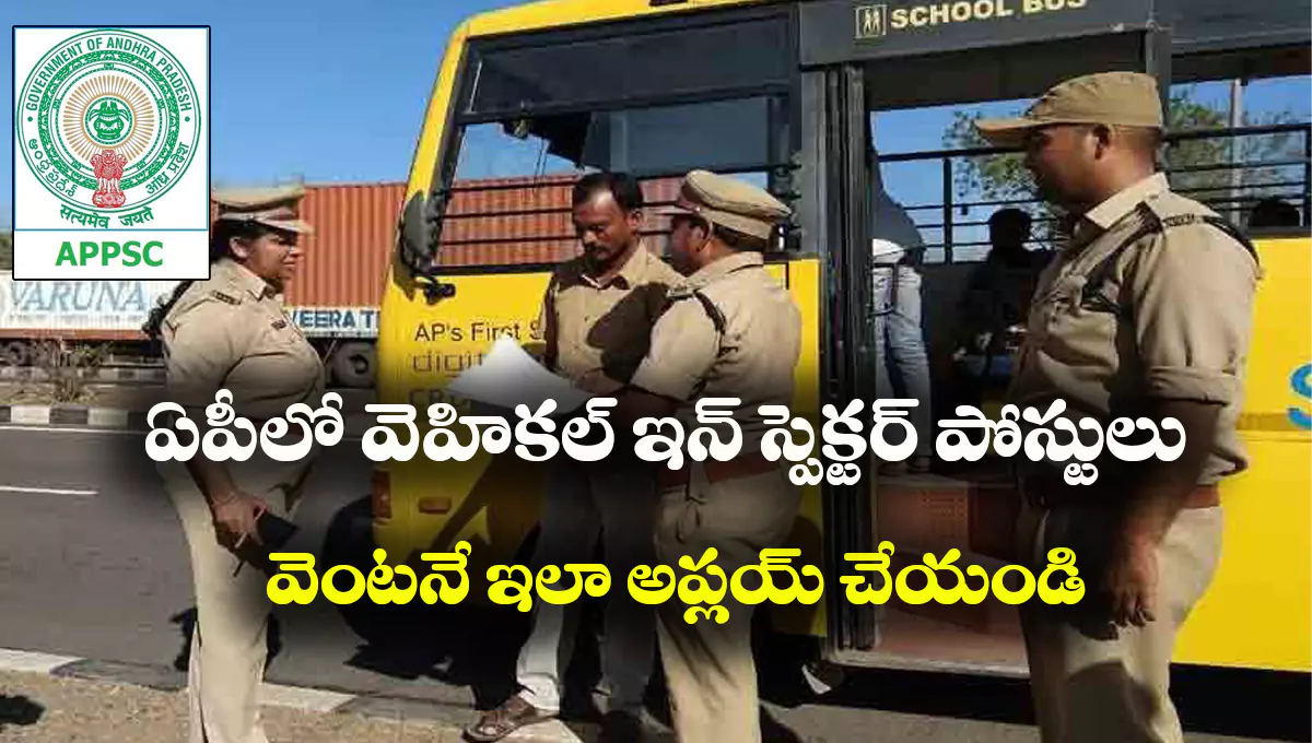 AP AMVI Recruitment 2025