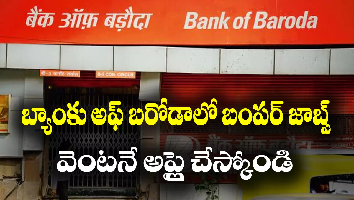 Bank of Baroda Recruitment 2025
