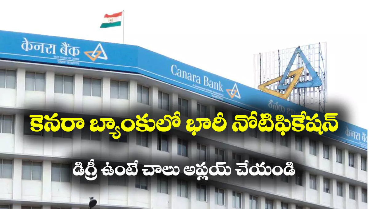 Canara Bank Apprentice Recruitment 2025