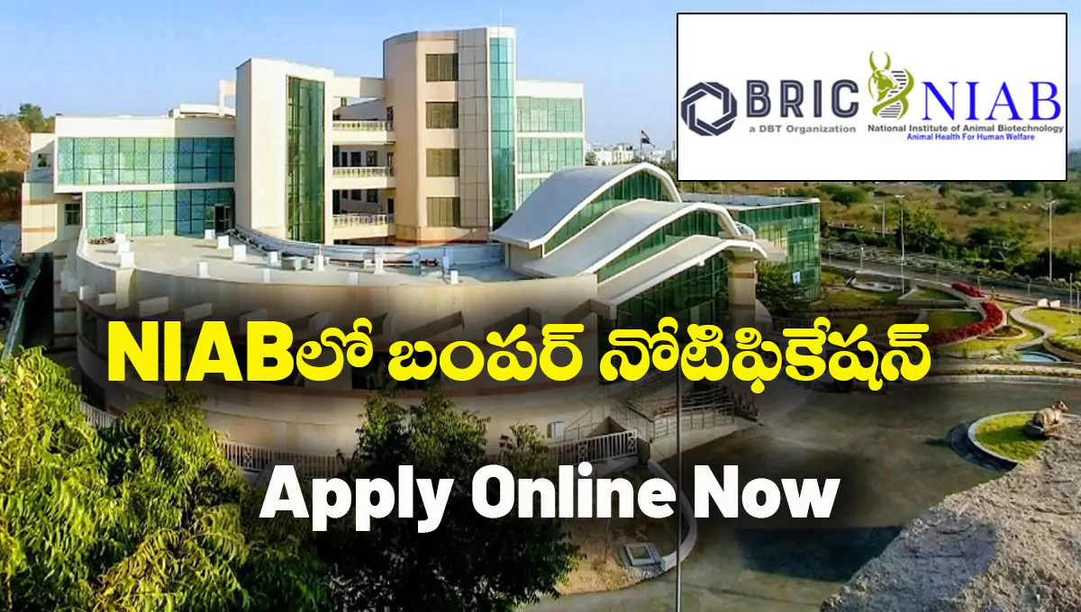 NIAB Recruitment 2025