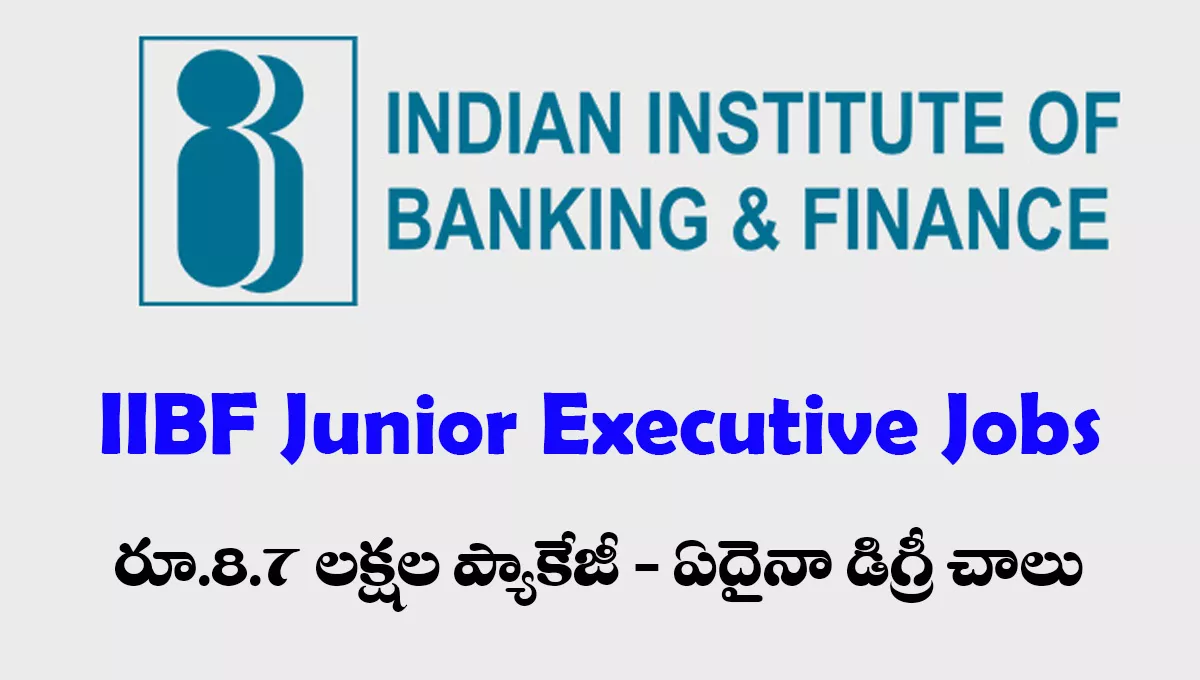IIBF JE Recruitment 2025