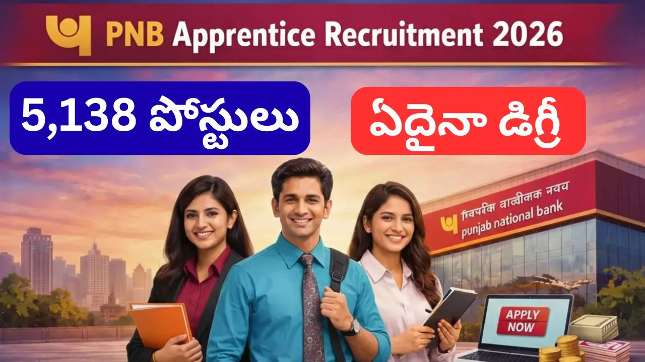 PNB Apprentice Recruitment 2026